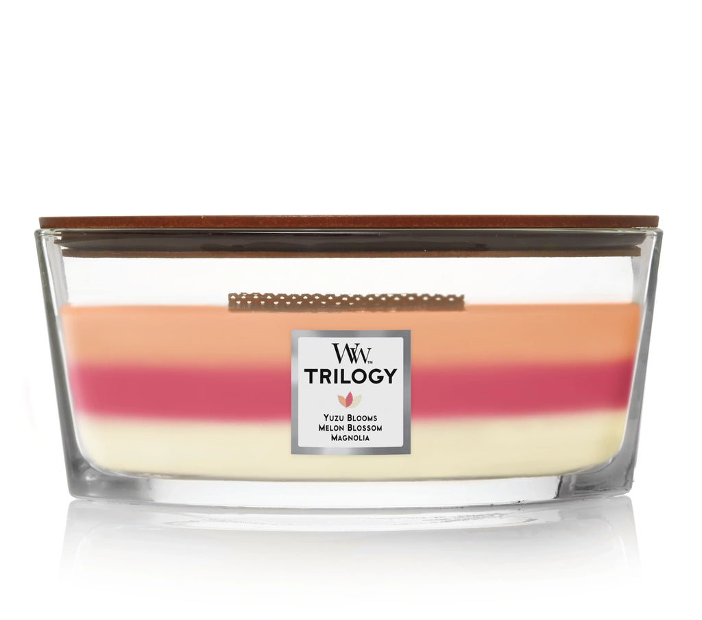 Blooming Candle - Orchard Trilogy Ellipse WoodWick