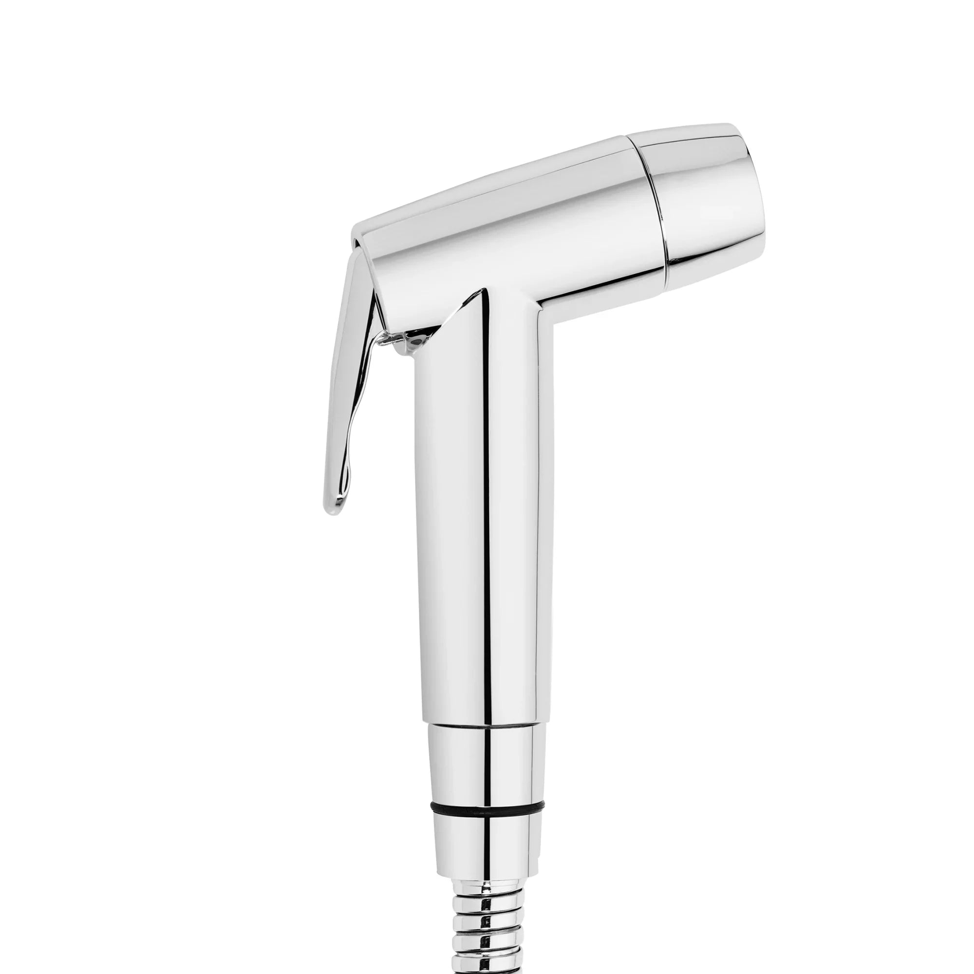 Bidet CleanSpa Brondell 4012926 Held Universal Silver Hand