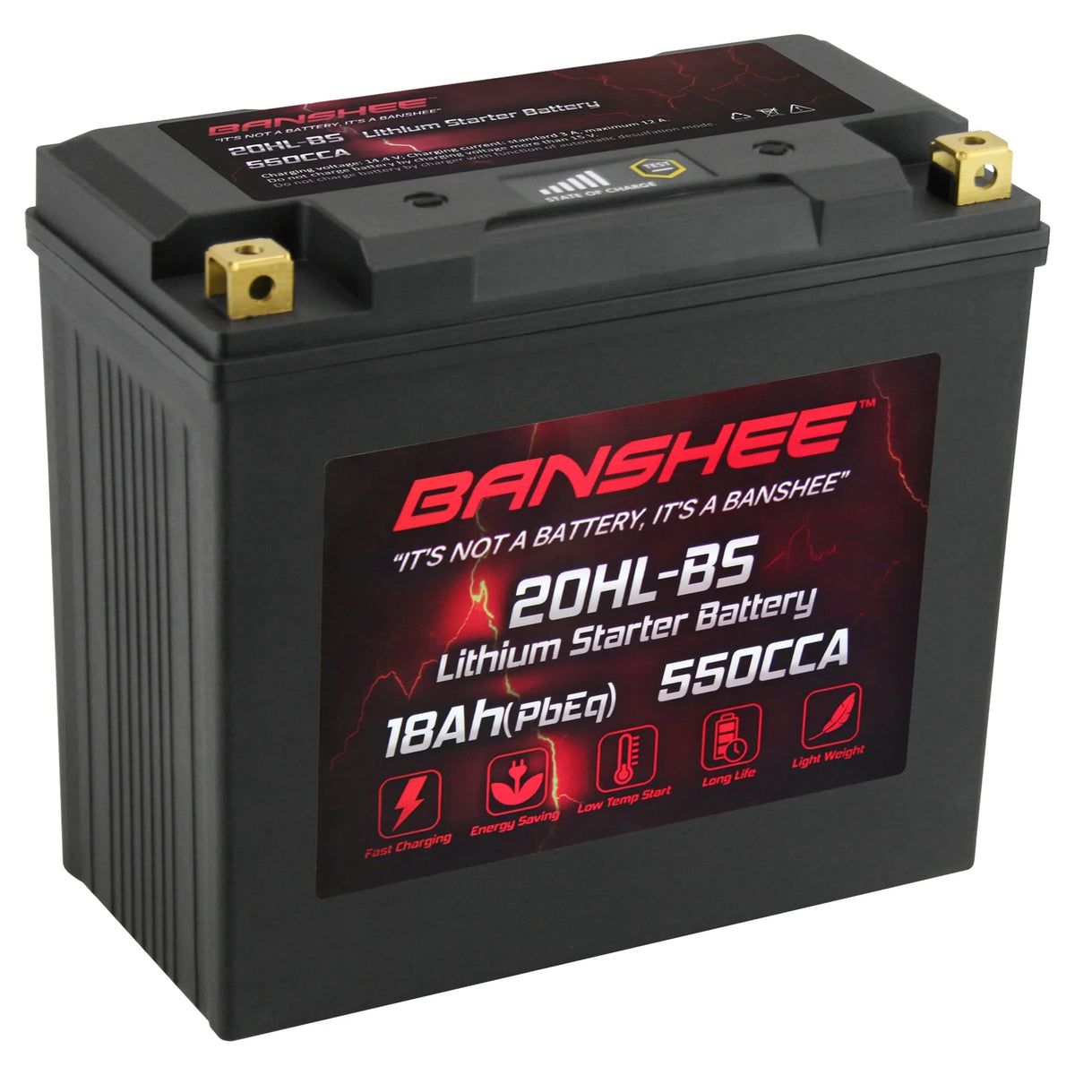 to Yamaha VX1100D Compatible 20L-BS V1 Banshee Motorsports 2015 Sport LiFePO4 with Battery WaveRunner 2015