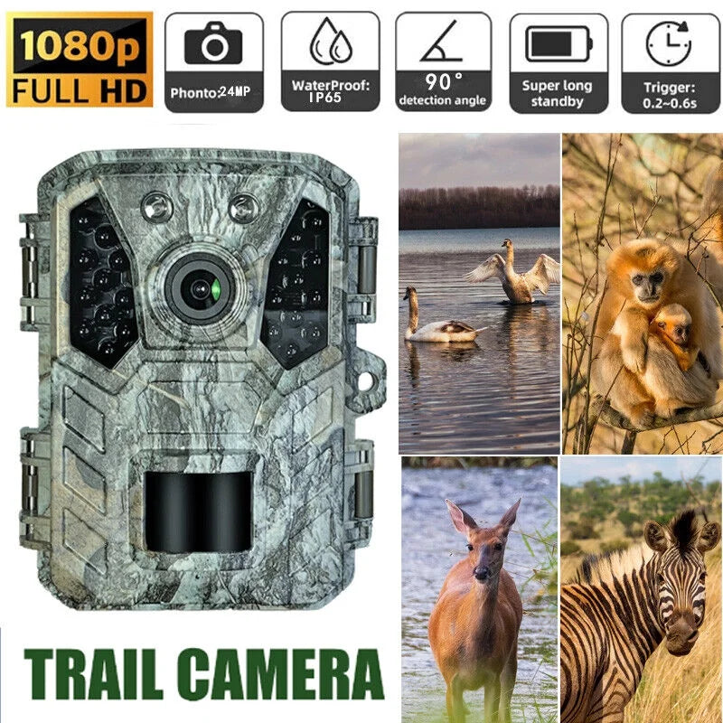 Cam Camera 1080P Mini with Wildlife Hunting 24MP Night Vision Waterproof Trail