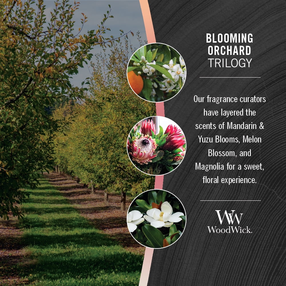 Blooming Candle - Orchard Trilogy Ellipse WoodWick