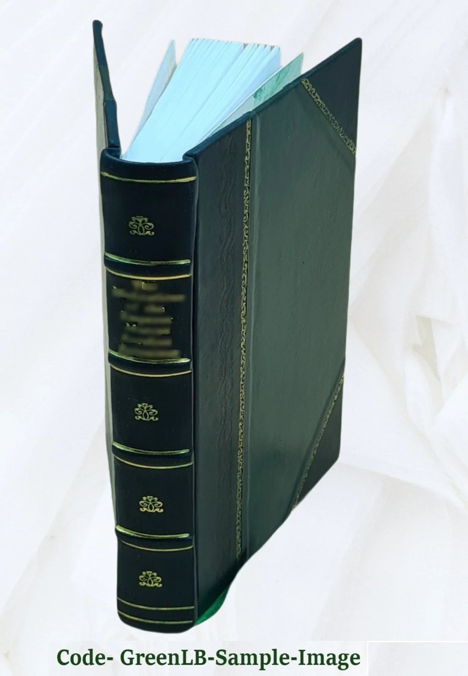 & Romanis Consentinensi anno concessorum de ... episcopo fratrum à ordini Domini Pyrrho Collecta, pontificibus Minimorum eorundem 1573. et volumine Summa summis Reuer priuilegiorum