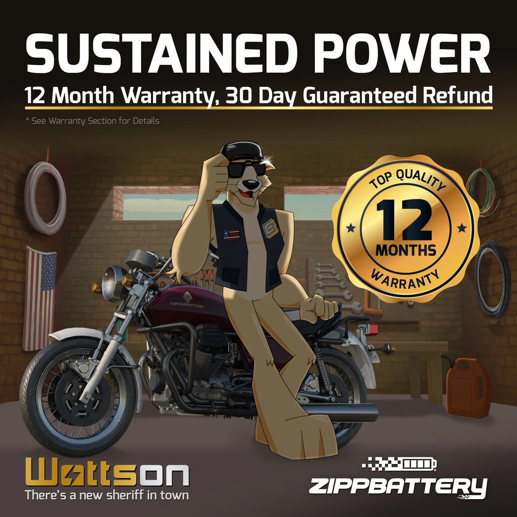 210 Motorcycle Suzuki Battery 750cc Volt,12 CCA) Zipp 1989 (14AHL-BS Battery YTX14AHL-BS Ah, for Gsx-r750 12