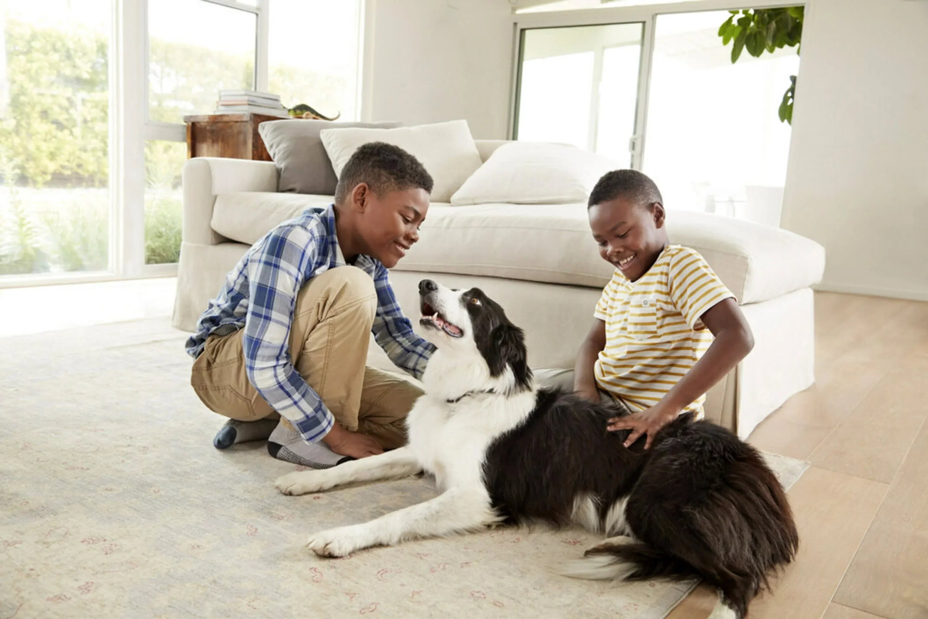 Filtrete Home & 16x25x1 Smoke, Pollutants, Premium Allergen 13, MERV Filter Filter, Bacteria 2200 atmospheric and Captures Smart Viruses, MPR 1