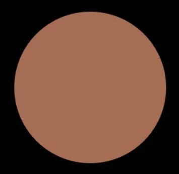COSMETICS G SEXY BRONZER J NEAUTRAL & COOL INSTANT