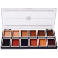 Narrative Dark Palette 12 Artists Makeup Waterproof Color Alcohol Makeup Tone Special Effects Professional Activated for Dark Makeup Tone Cosmetics for Flesh Flesh -