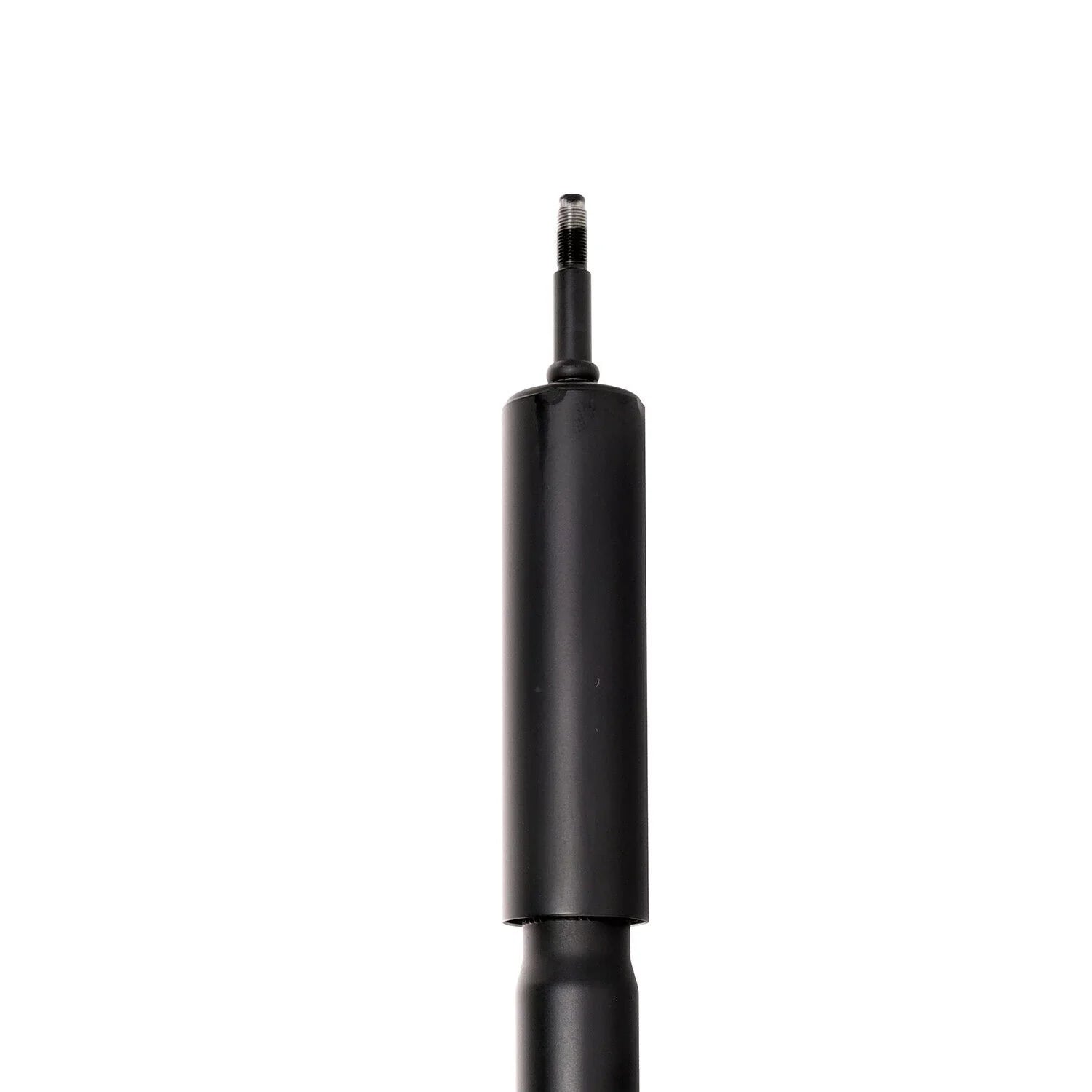 or Absorber Driver for Passenger Ford Rear Side Shock Mustang Twin-Tube 1994-2004