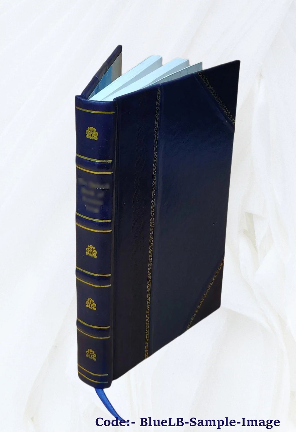 & Romanis Consentinensi anno concessorum de ... episcopo fratrum à ordini Domini Pyrrho Collecta, pontificibus Minimorum eorundem 1573. et volumine Summa summis Reuer priuilegiorum