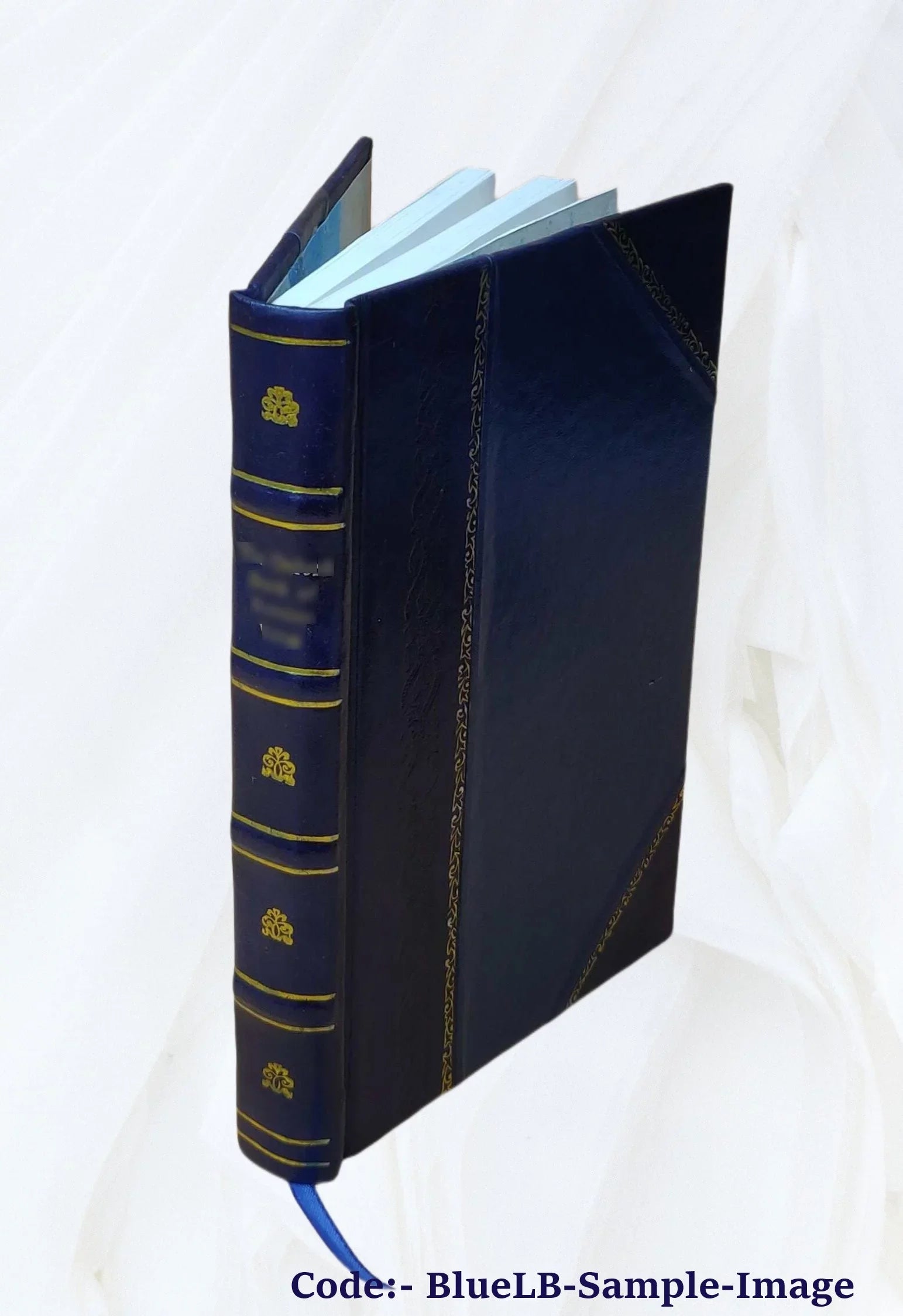 & Romanis Consentinensi anno concessorum de ... episcopo fratrum à ordini Domini Pyrrho Collecta, pontificibus Minimorum eorundem 1573. et volumine Summa summis Reuer priuilegiorum