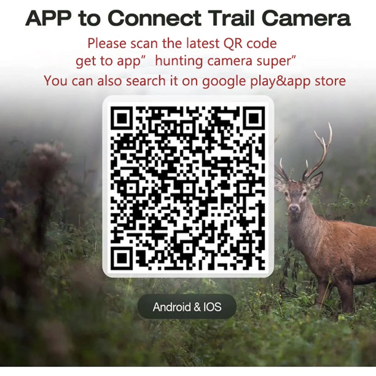Trail Angle 120° Camera with PIR for IP66 Bluetooth Sensor Night Motion Native Waterproof Vision CAMPARK 3 Camera Cam Wildlife Wide WiFi 42MP Monitoring Activated Game Hunting Deer 4K Trail 30fps