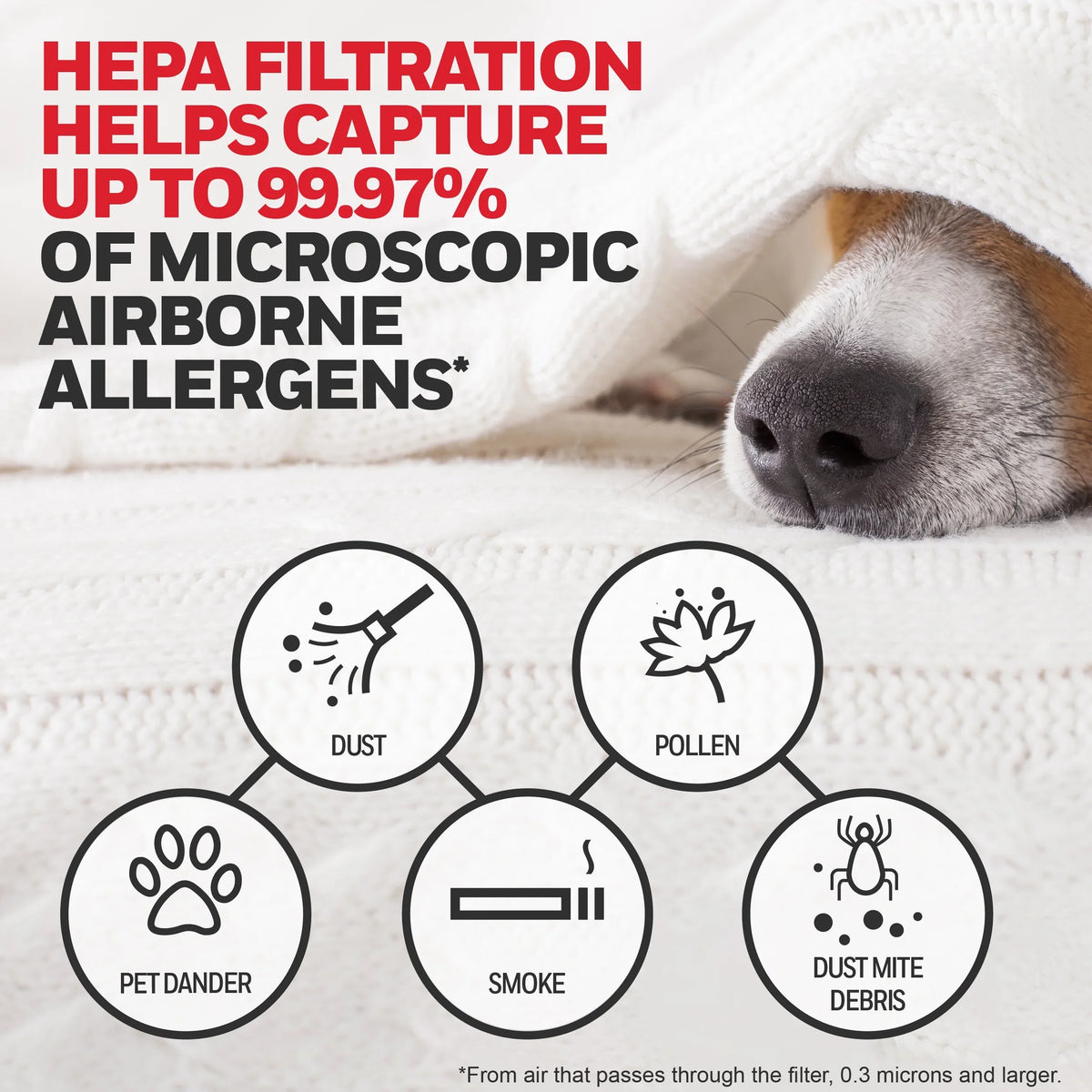 Pack Honeywell Replacement 2 G, Filter HEPA