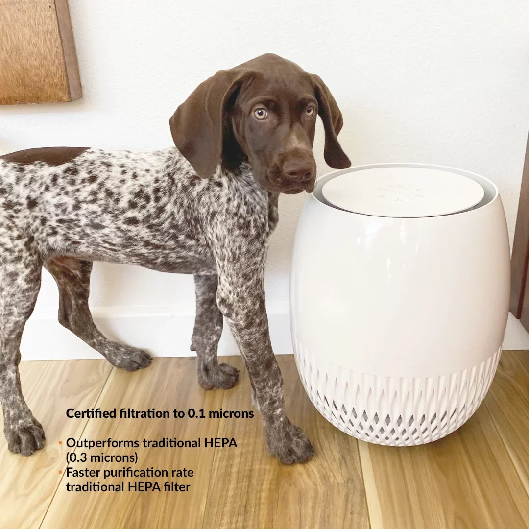 & oxygen Carbon Avari 4-Stage Proprietary AHAM & Monitoring Mode 0.1 Technology, ECARF Deodorizer, LED Eg-HEPA Embossed Sanitizer. Smart oxygen to Quality Microns. certified. Pre-Filter, Auto HEPA Purifier