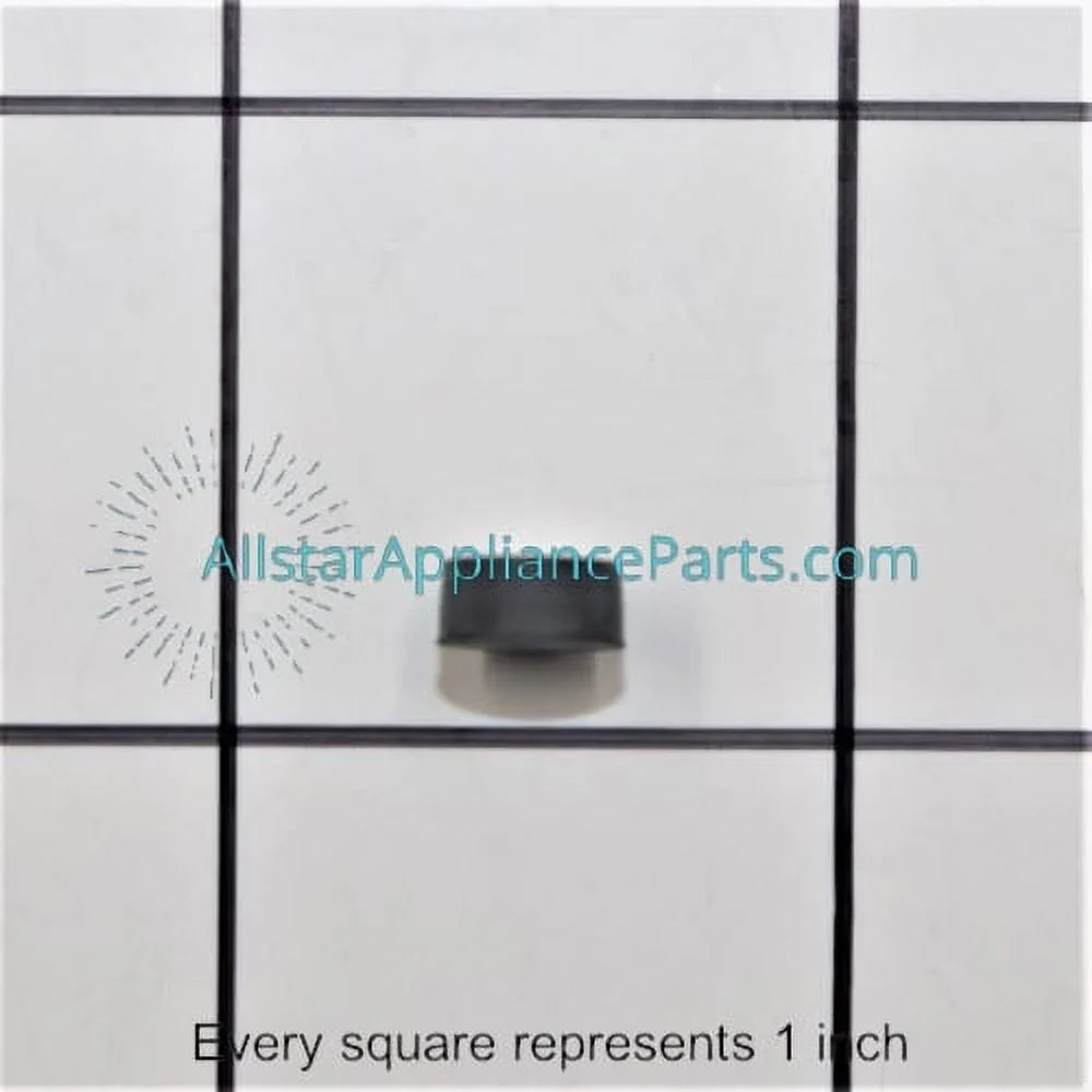 WS22X10020 System Filtration Refrigerator Plug GE Water