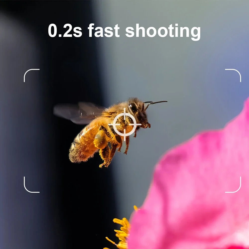 Cam Camera 1080P Mini with Wildlife Hunting 24MP Night Vision Waterproof Trail
