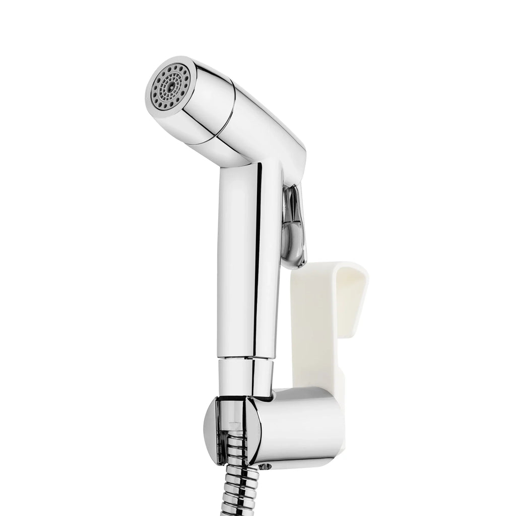 Bidet CleanSpa Brondell 4012926 Held Universal Silver Hand