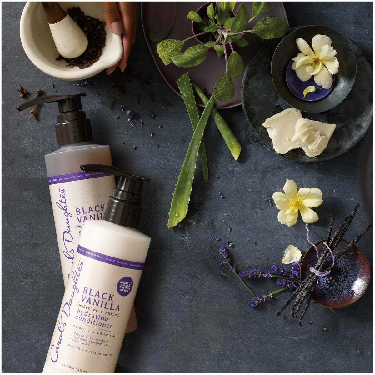 Conditioner Vary) Daughter (Packaging Conditioner May Moisture Hydrating and & Shine Free Shampoo and Sulfate Carol?s Hair Hair Shampoo Dry Hair, Vanilla Black Set Dull and For