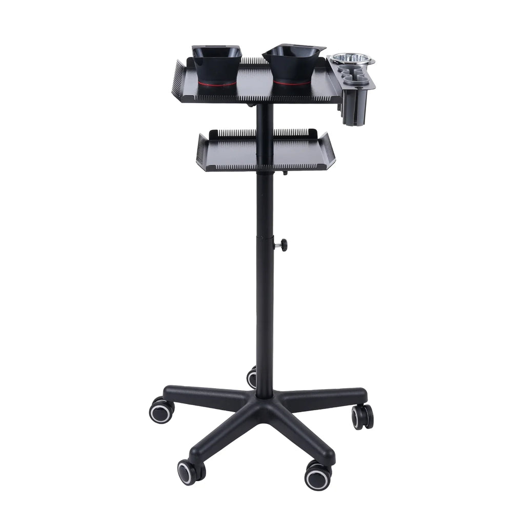 2 Salon Wheels Cart Movable Hair Stand Beauty Clinic Salon Cart Salon Cart With Stand Trolley,Station Movable Hair Salon 2-tier Adjustable Salon Adjustable Adjustable On Hair Beauty 2 Salons Bestauty