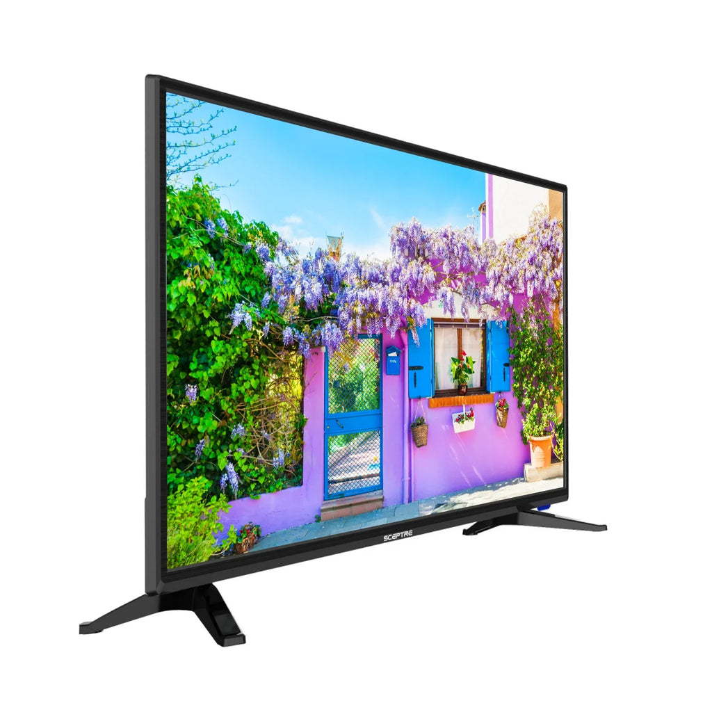 DVD 720P Player 32" Class LED E325BD-SR HD Built-in TV Sceptre with