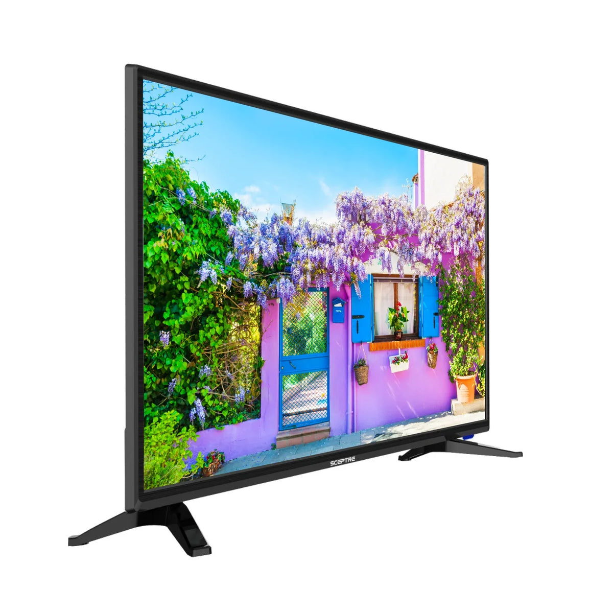 DVD 720P Player 32" Class LED E325BD-SR HD Built-in TV Sceptre with