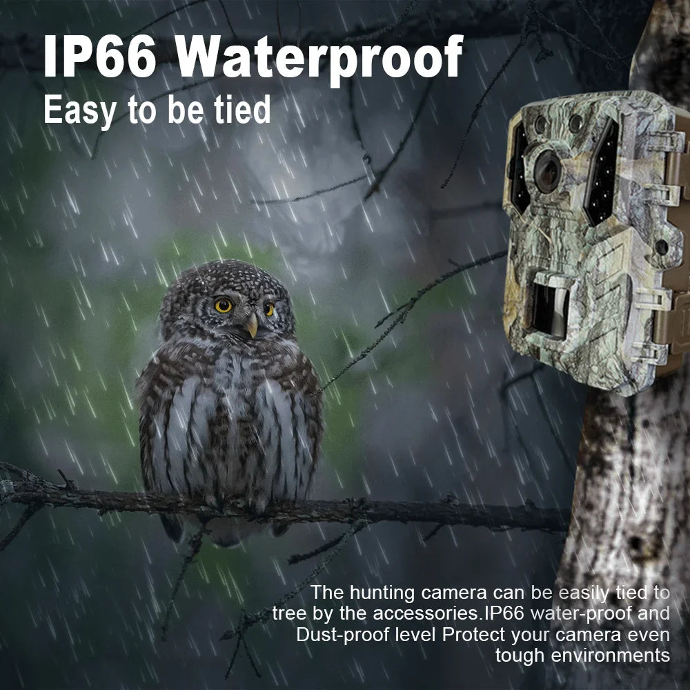 Cam Camera 1080P Mini with Wildlife Hunting 24MP Night Vision Waterproof Trail