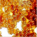 Grains Resin 1/4 Replacement Capacity Softener For Cuft-8000 Water RV Softener