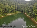 Angus - Cove Pyrate's McHugh