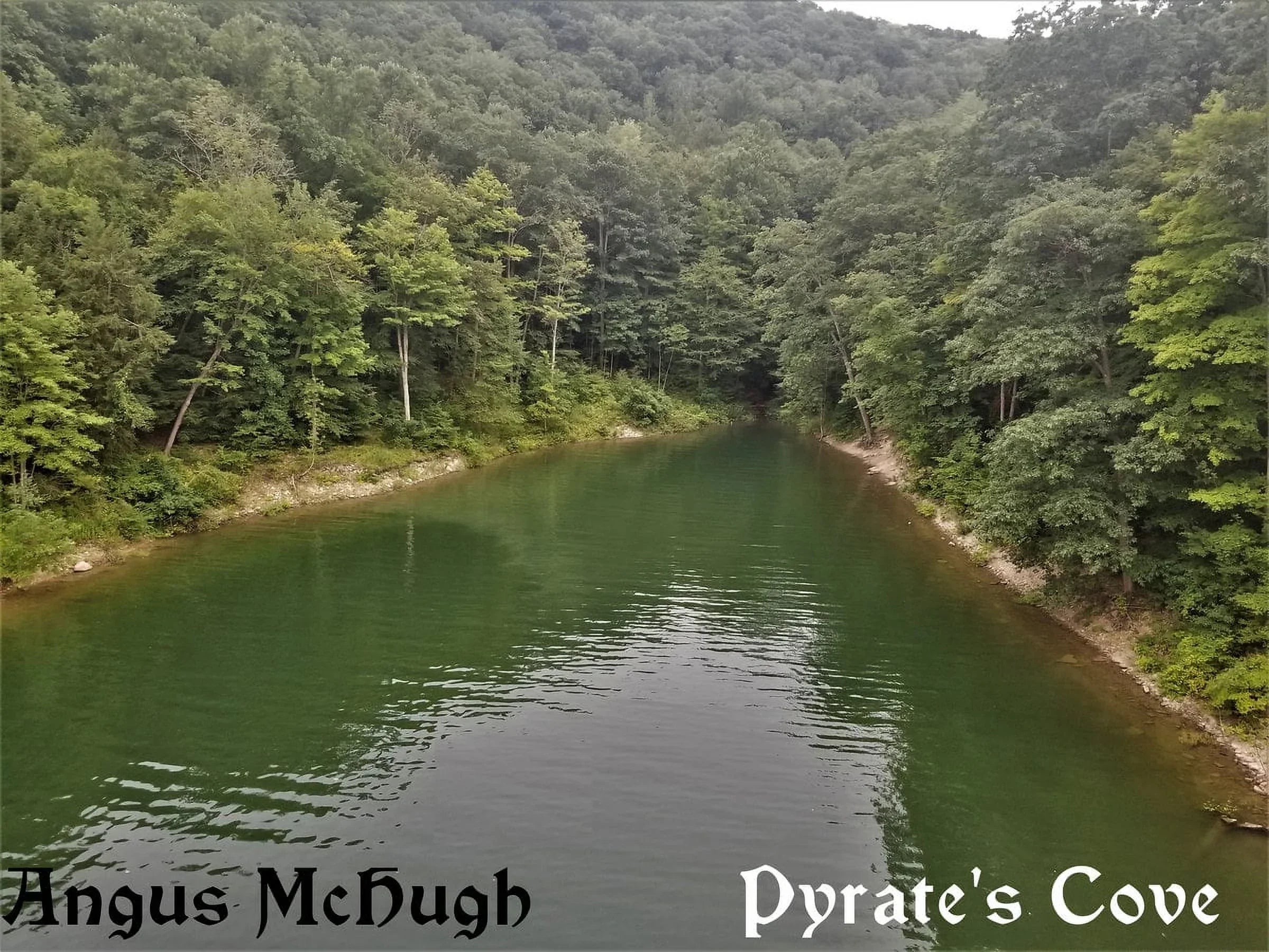 Angus - Cove Pyrate's McHugh