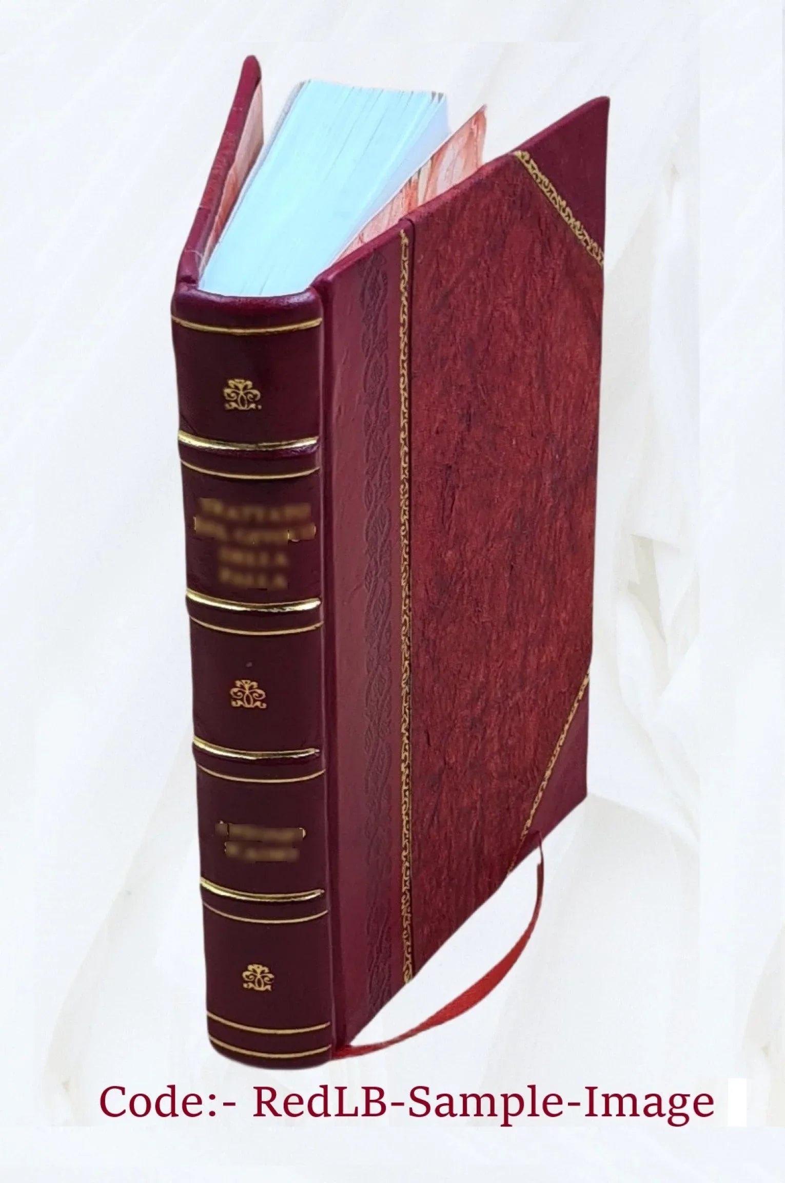 & Romanis Consentinensi anno concessorum de ... episcopo fratrum à ordini Domini Pyrrho Collecta, pontificibus Minimorum eorundem 1573. et volumine Summa summis Reuer priuilegiorum