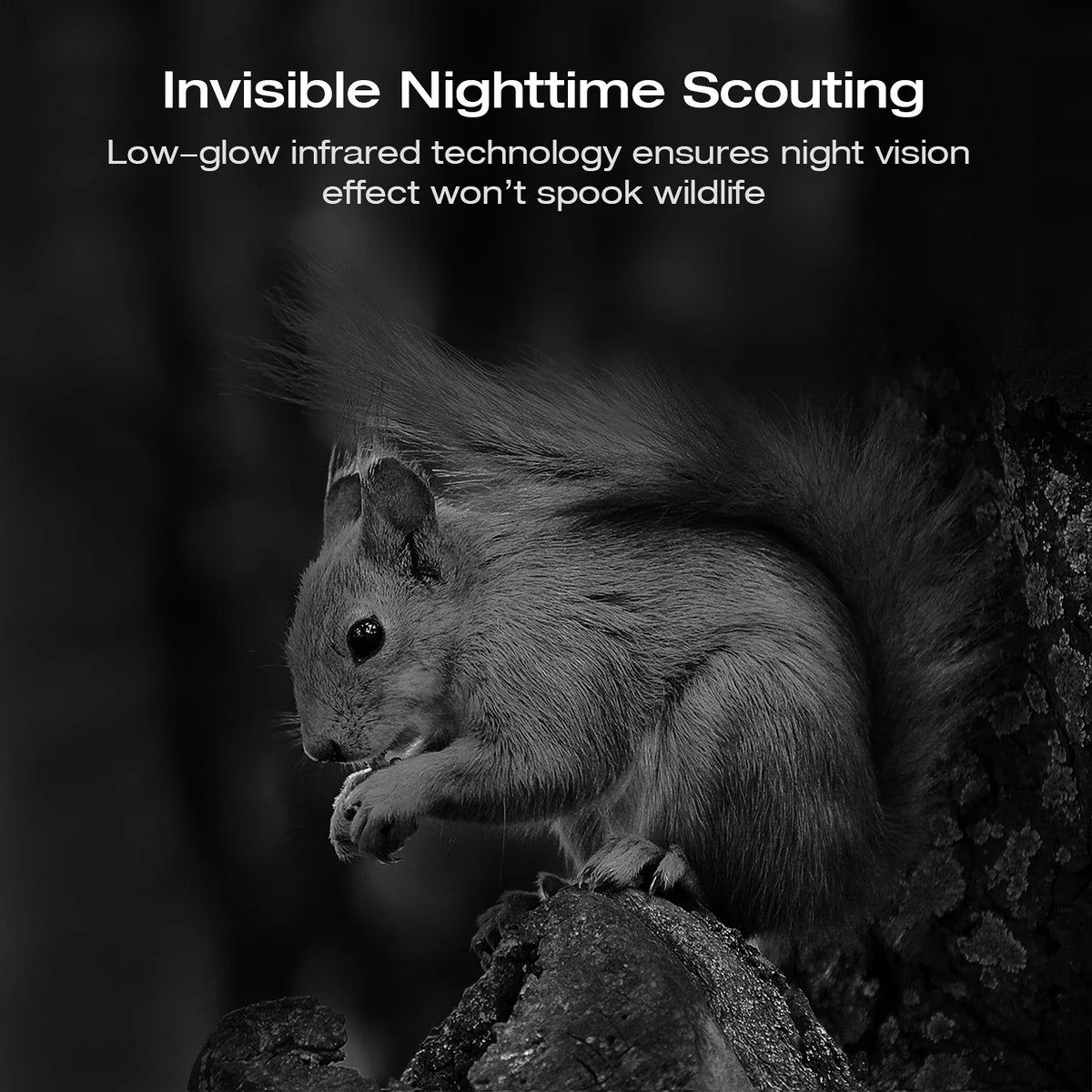 Trail Angle 120° Camera with PIR for IP66 Bluetooth Sensor Night Motion Native Waterproof Vision CAMPARK 3 Camera Cam Wildlife Wide WiFi 42MP Monitoring Activated Game Hunting Deer 4K Trail 30fps