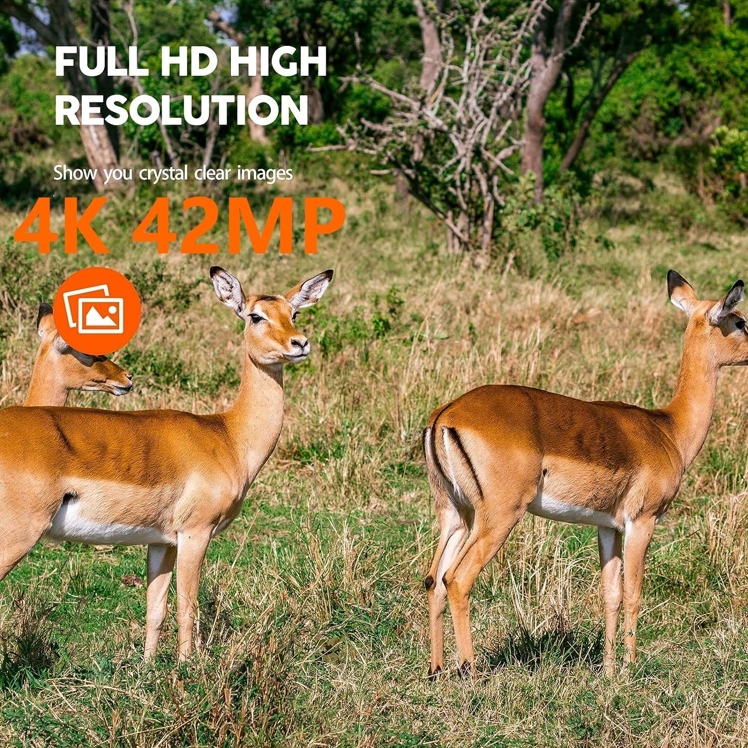 Trail Angle 120° Camera with PIR for IP66 Bluetooth Sensor Night Motion Native Waterproof Vision CAMPARK 3 Camera Cam Wildlife Wide WiFi 42MP Monitoring Activated Game Hunting Deer 4K Trail 30fps