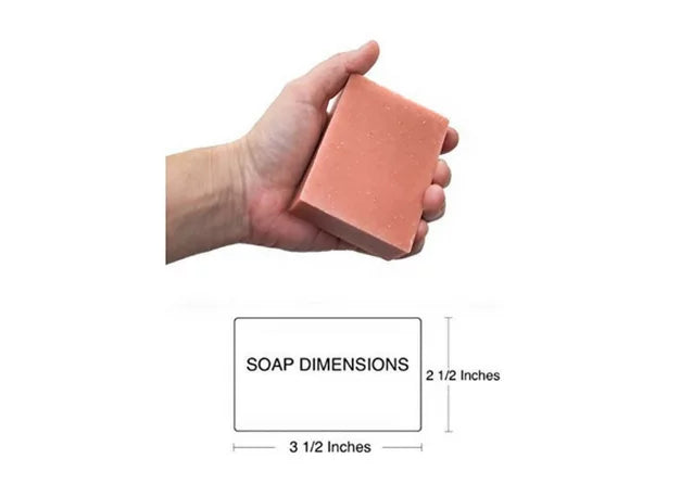 Bar Pack Soap & Oatmeal Aloe 6