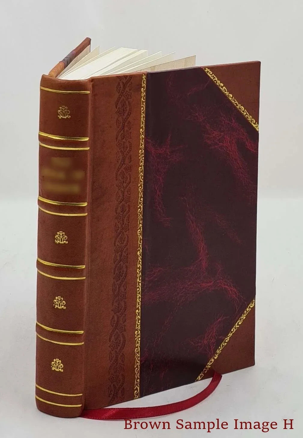 [Leather Bound] Gold Fairy 1926