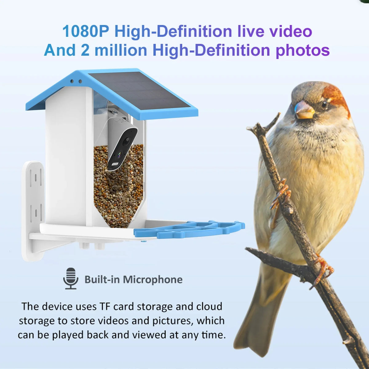 Ip66 Feeder 1080p Feeder Camera Waterproof Low Solar Vision 1080p Vision Real Camera Camera camera,Feeder Solar Capture Camera Nebublu With Camera Feeder Auto Videos