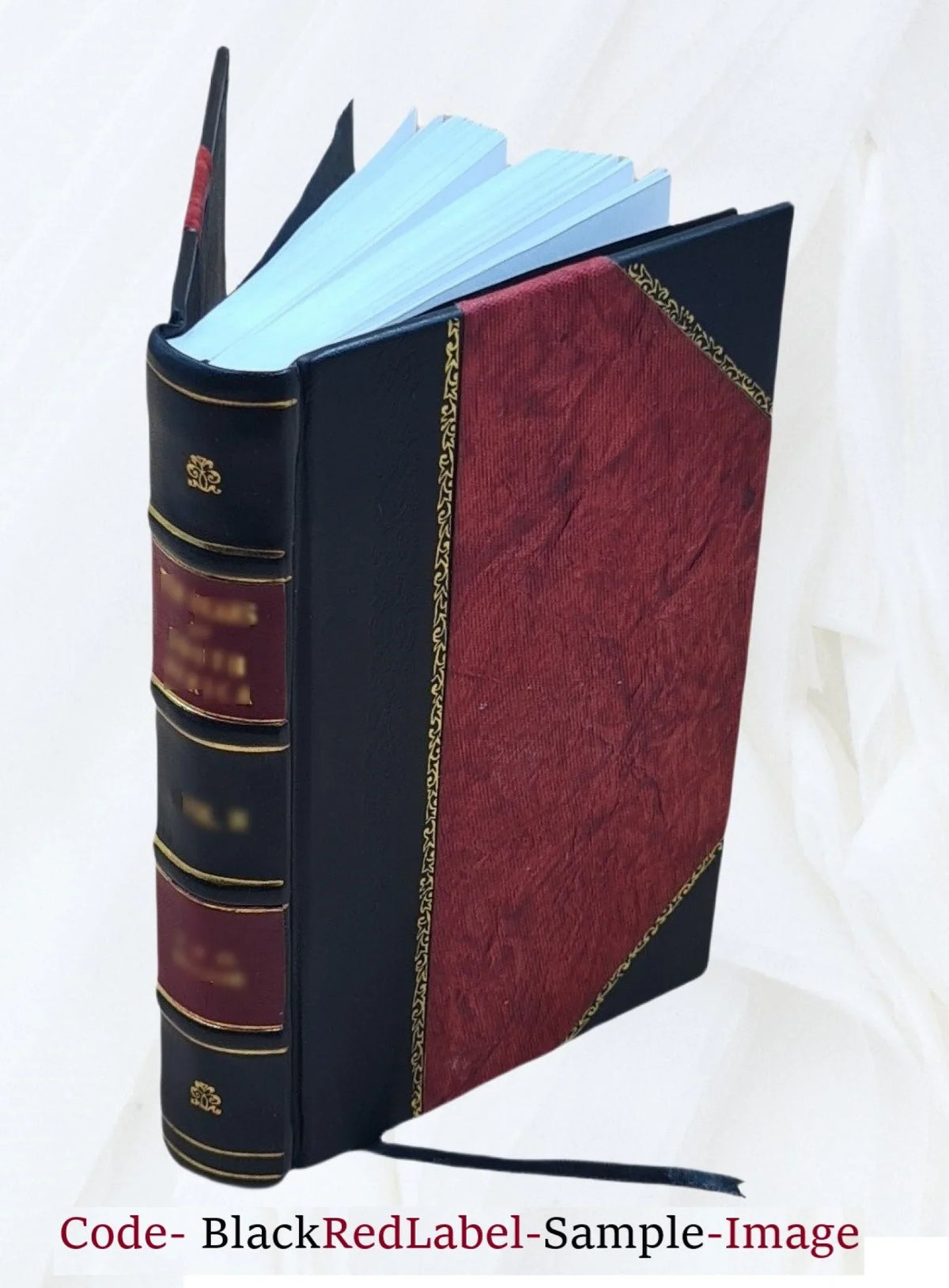 & Romanis Consentinensi anno concessorum de ... episcopo fratrum à ordini Domini Pyrrho Collecta, pontificibus Minimorum eorundem 1573. et volumine Summa summis Reuer priuilegiorum