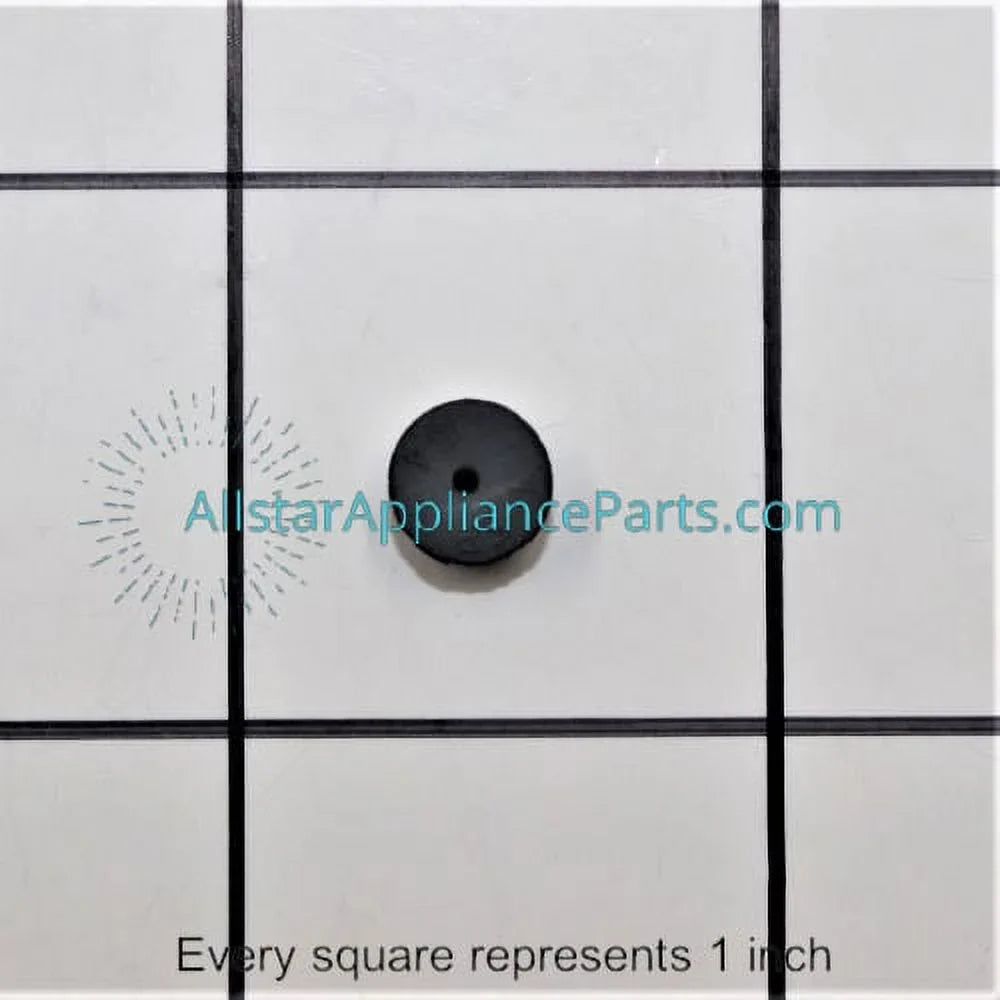 WS22X10020 System Filtration Refrigerator Plug GE Water