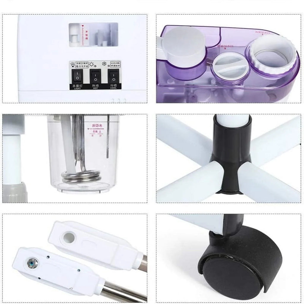 Care Device Ozone Spray EU/US Sparyer 2 Plug Spa Ion 1 Beauty and Hot Machine Cold Skin 110/220V Steaming Home in Facial Steamer
