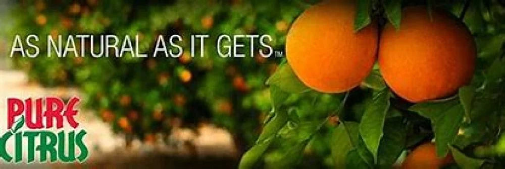 (Pack oz Pure NA228-6 Citrus oxygen Spray, fl Scent, 6) Refreshing of Non-Aerosol Freshener Orange 4