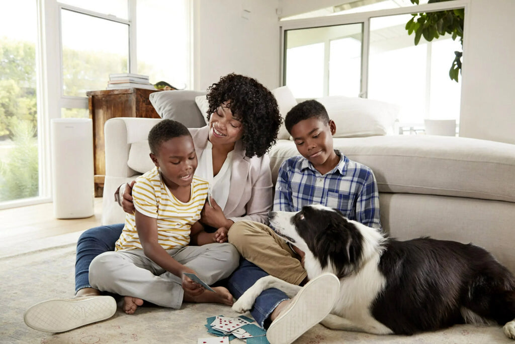 Filtrete Home & 16x25x1 Smoke, Pollutants, Premium Allergen 13, MERV Filter Filter, Bacteria 2200 atmospheric and Captures Smart Viruses, MPR 1