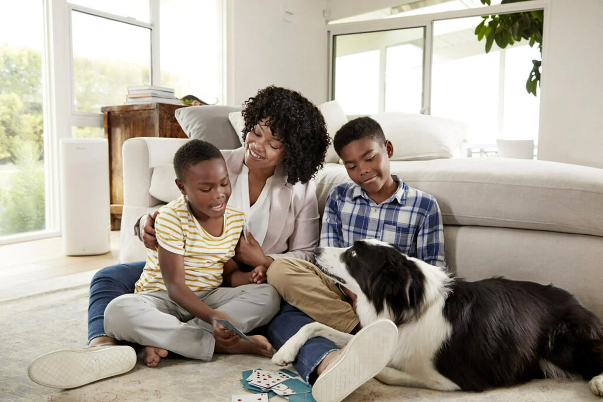 Filtrete Home & 16x25x1 Smoke, Pollutants, Premium Allergen 13, MERV Filter Filter, Bacteria 2200 atmospheric and Captures Smart Viruses, MPR 1
