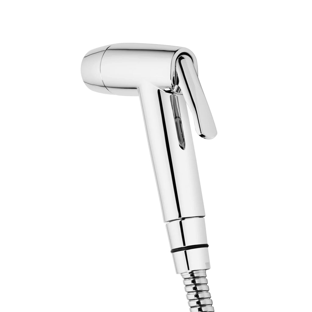 Bidet CleanSpa Brondell 4012926 Held Universal Silver Hand